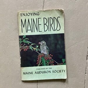 Enjoying Maine Birds Audubon Society Chickadee Cormorant Waterfowl Animals